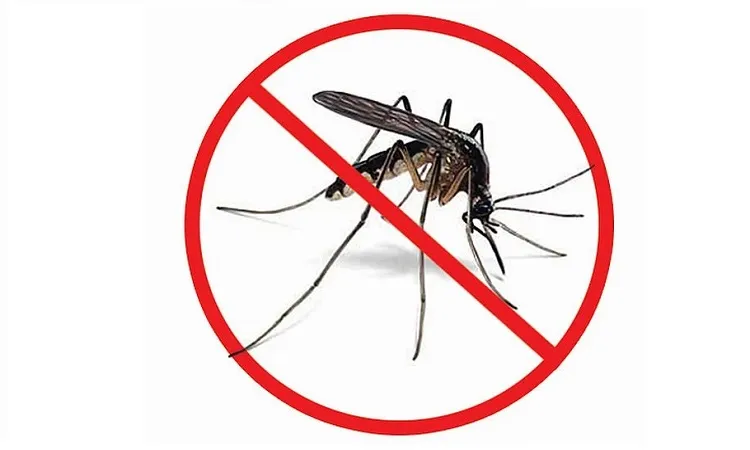 7 dengue patients hospitalised in Dhaka in 24hrs