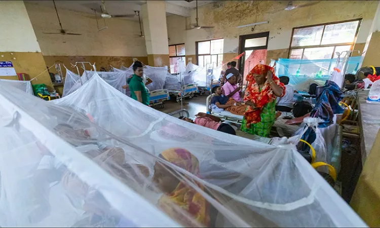 17 dengue patients die, 2882 hospitalised in 24 hrs