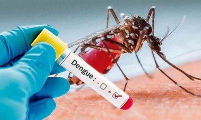 dengue-w-20241005142309