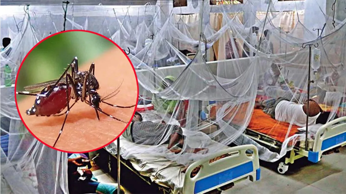 ডেঙ্গুতে আরও একজনের মৃত্যু, আক্রান্ত ১৪
