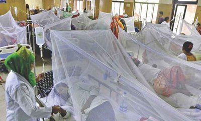 dengue_20241009_182320903