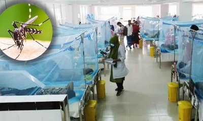 dengue_20241014_184731123