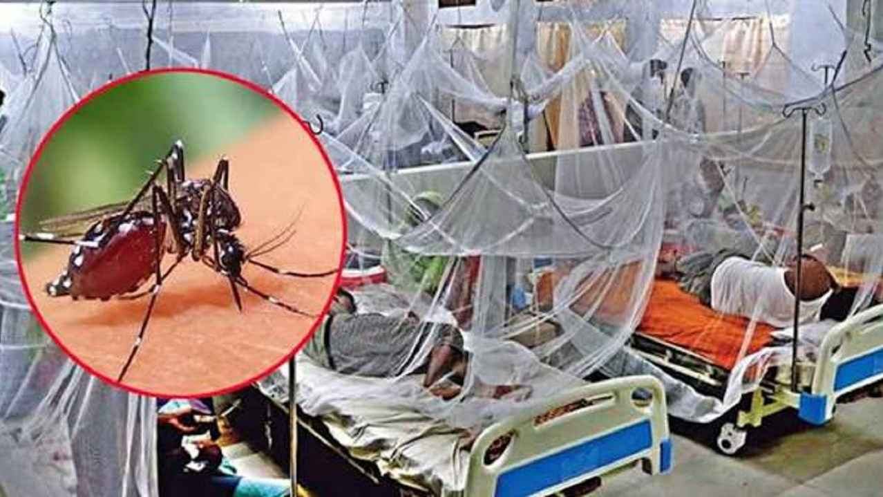 ডেঙ্গুর তাণ্ডবে ২৪ ঘণ্টায় ৯ মৃত্যু-আক্রান্ত লাখ