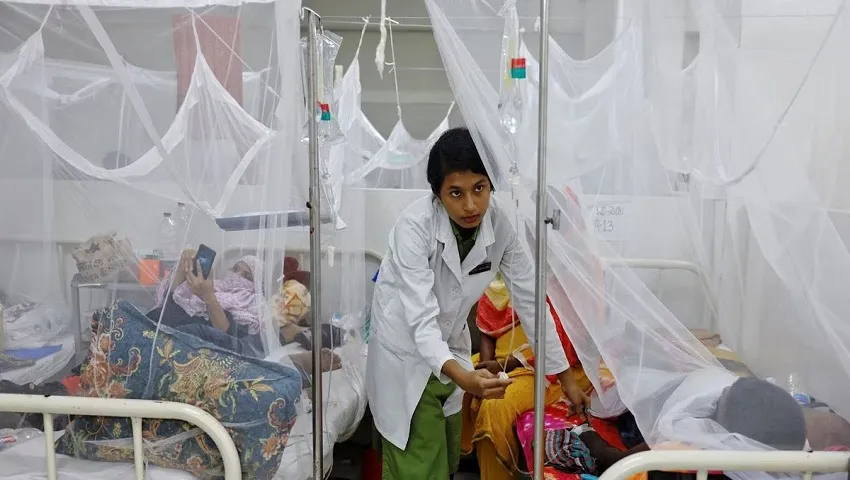 11 dengue patients die; 2956 hospitalized in 24 hrs