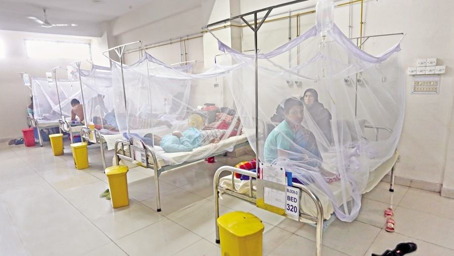Dengue death toll crosses 300-mark