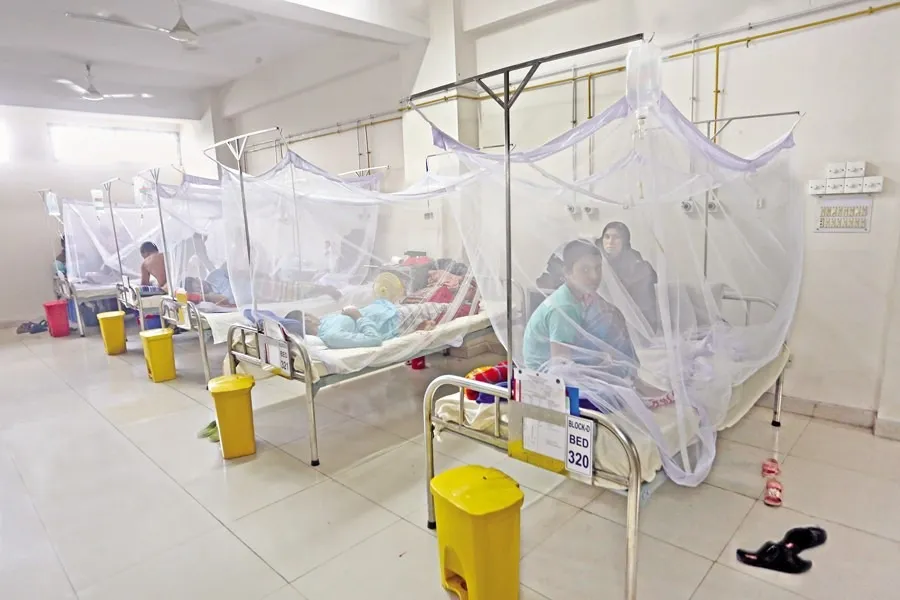Dengue death toll crosses 300-mark