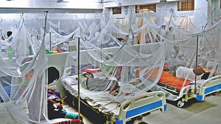 Dengue menace: 2 death, 106 hospitalised in 24hrs