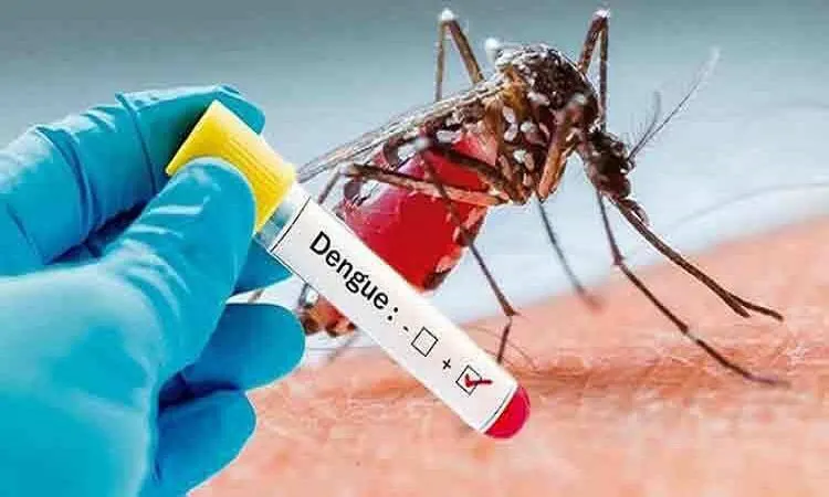 87 more dengue patients hospitalised in 24hrs