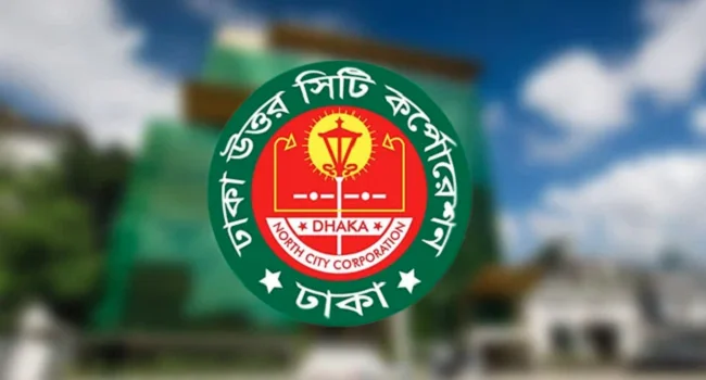 ডিএনসিসি