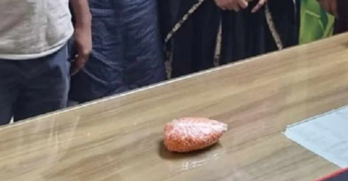 হাতিরঝিল থেকে ইয়াবাসহ গ্রেফতার ৫