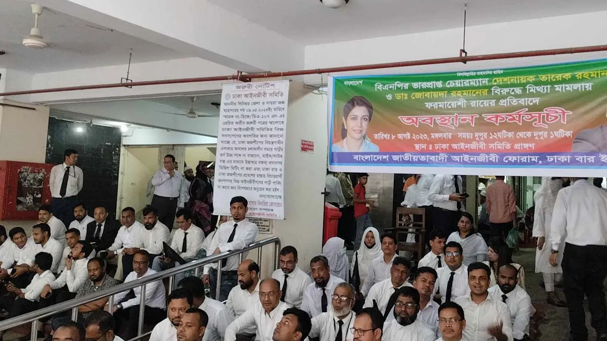 আদালতে বিএনপিপন্থি আইনজীবীদের অবস্থান কর্মসূচি