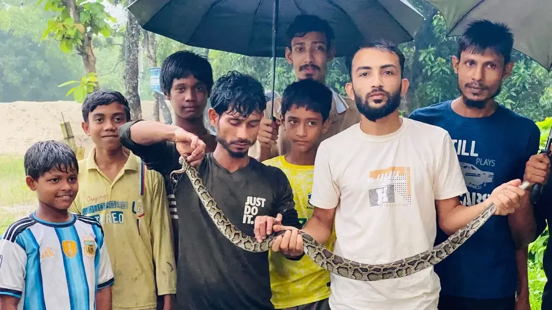 বন্যায় চট্টগ্রামে সাপের উপদ্রব