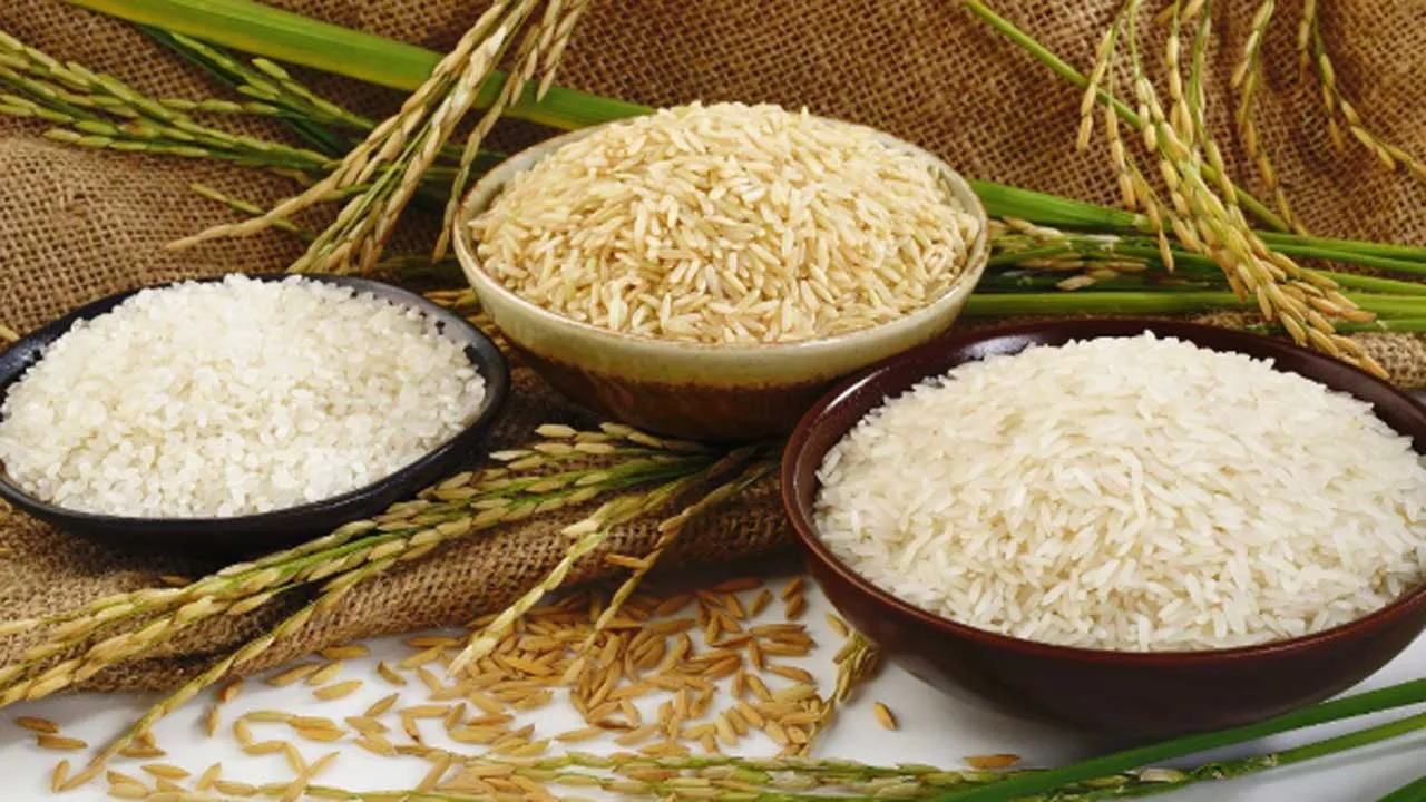 আমন মৌসুমে ১০ লাখ টন ধান-চাল সংগ্রহ করবে সরকার