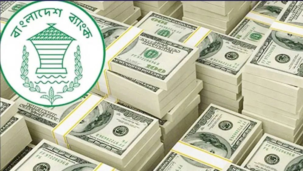২৩ দিনে রেমিট্যান্স এলো প্রায় ৩ বিলিয়ন ডলার