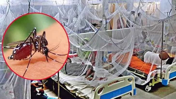 ২৪ ঘণ্টায় ডেঙ্গুতে ৪ জনের মৃত্যু