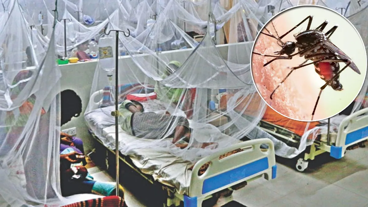 ডেঙ্গুতে ১০ জনের মৃত্যু, হাসপাতালে ভর্তি ১৭৫৭