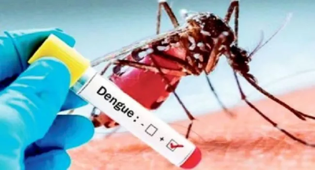 গত ২৪ ঘণ্টায় ৭ ডেঙ্গু রোগী হাসপাতালে