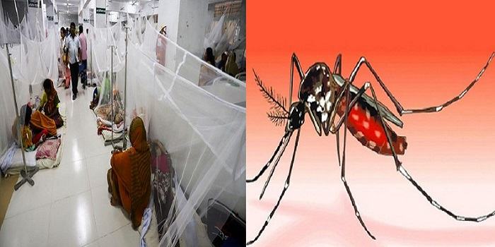 ডেঙ্গু আক্রান্ত আরও ৪৪০ জন হাসপাতালে ভর্তি