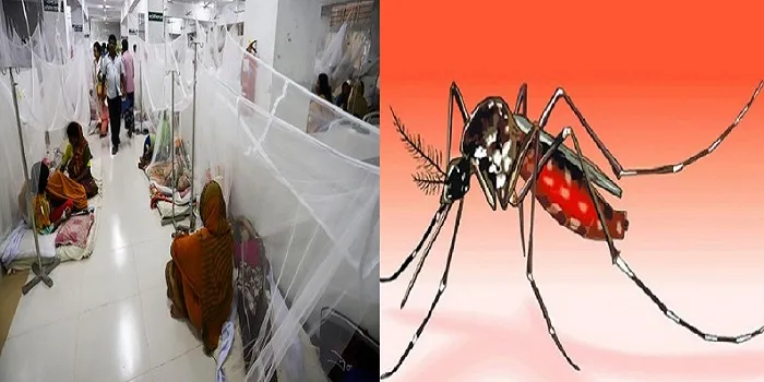 ডেঙ্গু আক্রান্ত আরও ৪৪০ জন হাসপাতালে ভর্তি