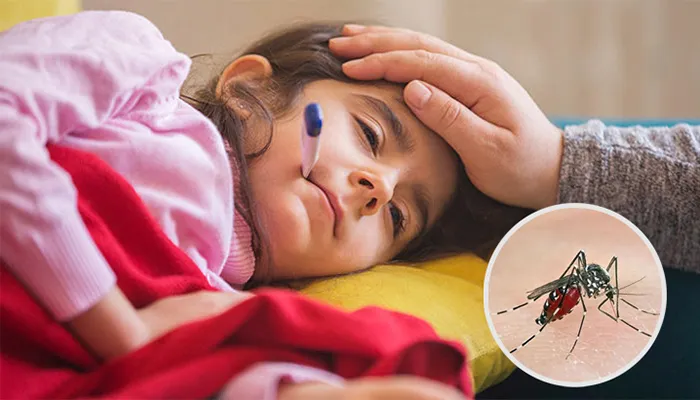 ডেঙ্গুতে একদিনে ১৪ মৃত্যু, ভর্তি ৬৫৩ জন