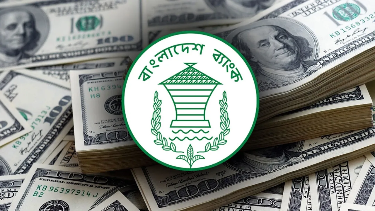 ডলারের দামে অস্থিরতার কারণ জানা‌ল কেন্দ্রীয় ব্যাংক
