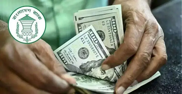dollar-mlnti6a9s9uhtu9-20260215200553