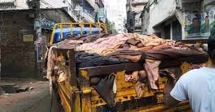 বৃষ্টিতে চামড়া নষ্ট হওয়ার আশঙ্কা ব্যবসায়ীদের