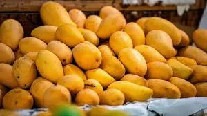 আমের রপ্তানি ১০ গুণ বাড়বে: বাণিজ্য উপদেষ্টা