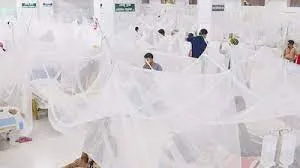 ডেঙ্গুতে আরও একজনের মৃত্যু, নতুন শনাক্ত ১০৬