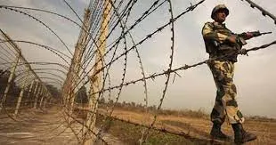 সীমান্তে বিএসএফের গুলিতে দুই বাংলাদেশি নিহত
