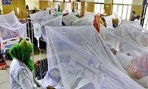 ডেঙ্গু আক্রান্ত হয়ে ৩১ জন হাসপাতালে
