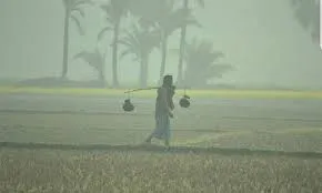 তীব্র শীত পড়তে পারে জানুয়ারির প্রথম সপ্তাহে