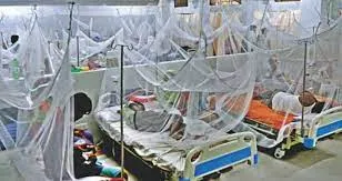 ডেঙ্গুতে আরও ১৭ জন আক্রান্ত