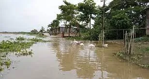 সুনামগঞ্জে কেটেছে বন্যার শঙ্কা, কমতে শুরু করেছে পানি