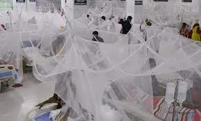 ডেঙ্গুতে আক্রান্ত আরও ১৭৬ জন হাসপাতালে ভর্তি