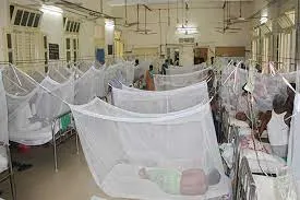 একদিনে আরও ৯ ডেঙ্গু রোগী হাসপাতালে