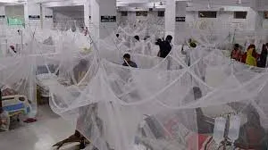ডেঙ্গুতে আক্রান্ত আরও ২৪ জন হাসপাতালে ভর্তি