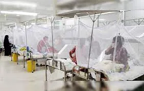 ডেঙ্গু: ২৪ ঘণ্টায় হাসপাতালে ভর্তি আরও ২৭ জন