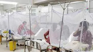 একদিনে আরও ২০ ডেঙ্গু রোগী হাসপাতালে