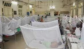ডেঙ্গুতে আরও ১১ জন হাসপাতালে ভর্তি