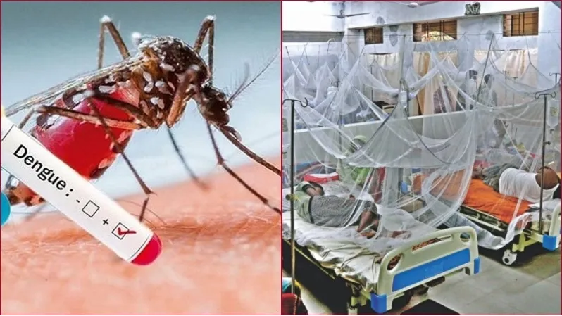 ডেঙ্গু আক্রান্ত হয়ে ৫ জন হাসপাতালে ভর্তি