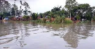 সিরাজগঞ্জে নদ-নদীর পানি বাড়ছে, বন্যা পরিস্থিতির অবনতি