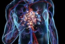 Here Are Some Of The Signs And Symptoms Of A Heart Disease No One Thought About