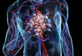 Here Are Some Of The Signs And Symptoms Of A Heart Disease No One Thought About