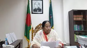 জাতীয় নির্বাচন ব্যালটে করার প্রস্তুতি নিতে বললেন ইসি রাশেদা