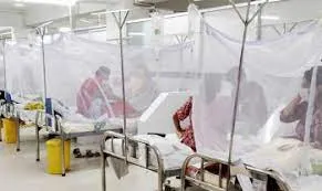 ডেঙ্গু: ২৪ ঘণ্টায় হাসপাতালে ভর্তি আরও ১৪ জন