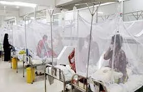 ডেঙ্গুতে আক্রান্ত আরও ৫৩ জন হাসপাতালে ভর্তি