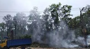 শাল-গজারি বনে আগুন, নিয়ন্ত্রণে উদ্যোগ নেই