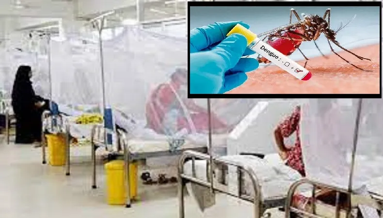 ডেঙ্গু আক্রান্ত ৩০ দিনে ছাড়িয়েছে ২১ হাজার