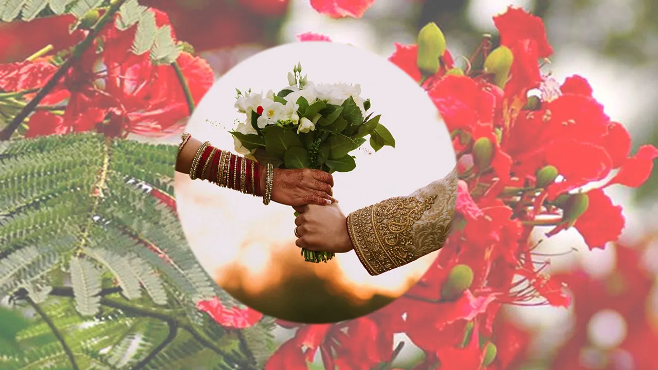 আজ বসন্ত, ভালোবাসার দিন